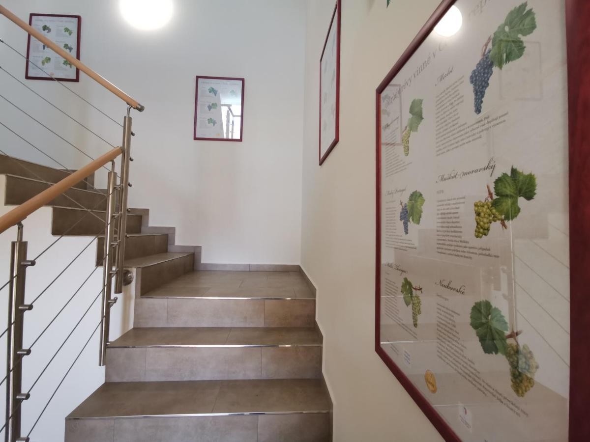 Comenius Moravus Vinarsky Dvur Mikulov Buitenkant foto
