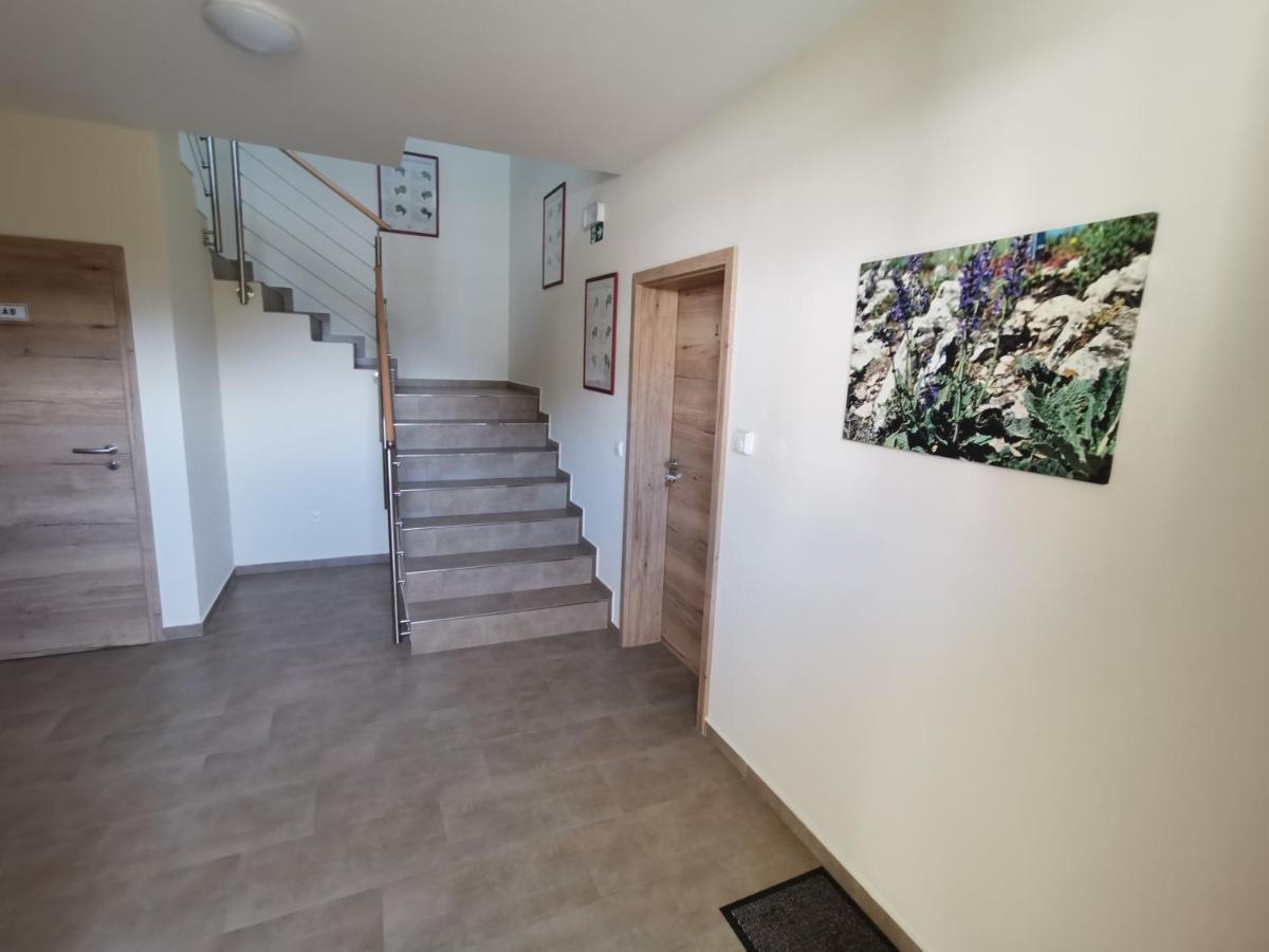 Comenius Moravus Vinarsky Dvur Mikulov Buitenkant foto
